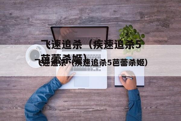 飞速追杀（疾速追杀5芭蕾杀姬）