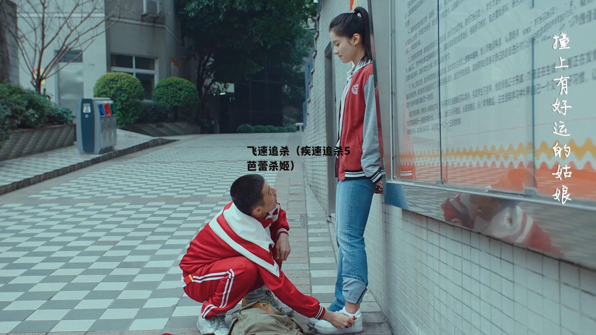 飞速追杀(疾速追杀5芭蕾杀姬)